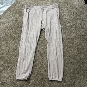 Patagonia Women's Lightweight Athleisure Sweatpants Light Fuchsia Size Large